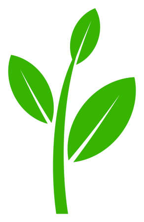 Tea plant vector illustration on a white background. An isolated flat icon illustration of tea plant.のイラスト素材