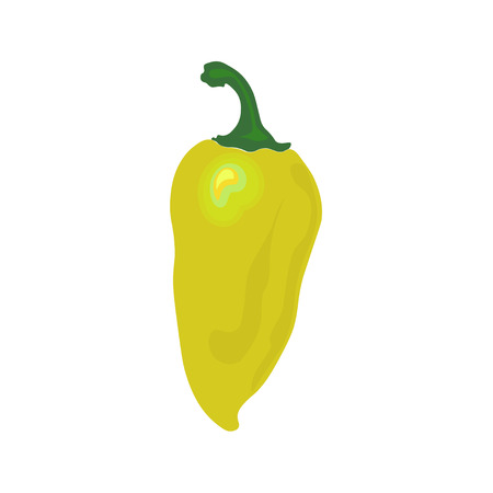 Green pepper vector illustrstionのイラスト素材