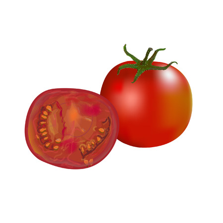 Tomato and half of tomato, vectorのイラスト素材