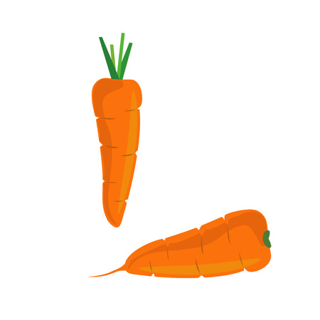 Carrot vector illustrationのイラスト素材