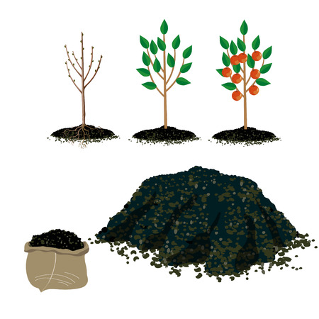 Set of vector illustration for gardening