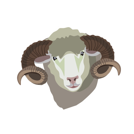 Vector ram headのイラスト素材