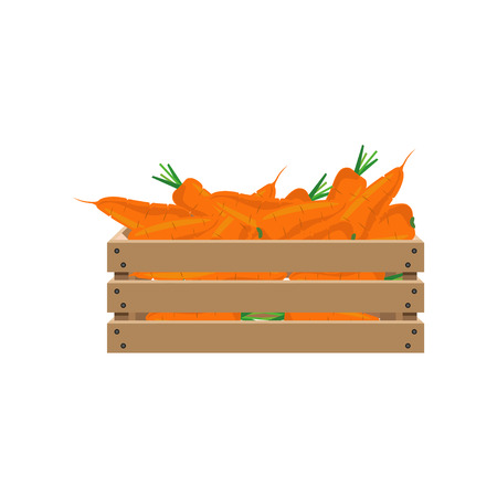 Carrot in wooden crate. Vector illustrationのイラスト素材