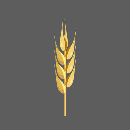 Wheat ear. Realistic vector illustrationのイラスト素材