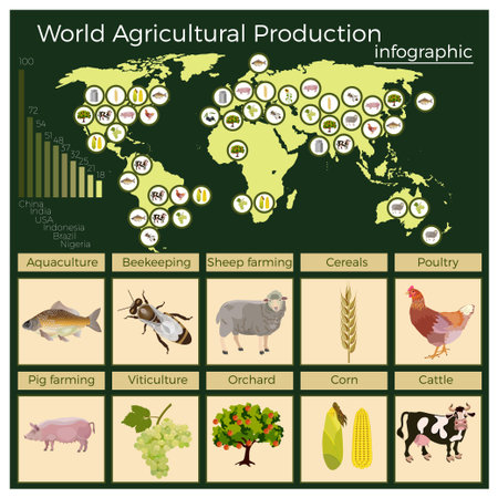 World agricultural production, vector infographic.のイラスト素材