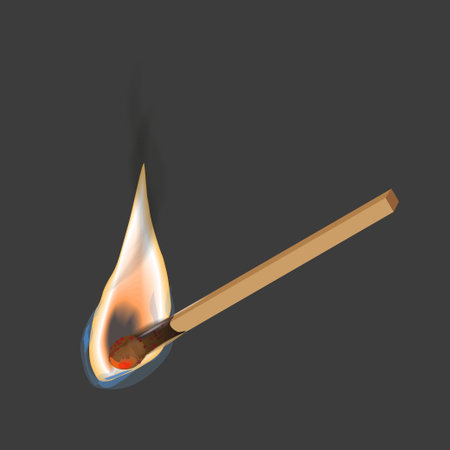 Realistic burning match. Vector illustrationのイラスト素材