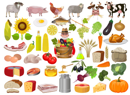 Set of cartoon food and farm animals. Vector illustrationのイラスト素材