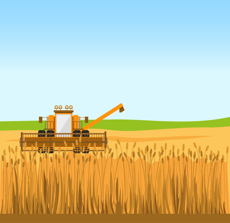 Grain harvester combine work in wheat field. Vector illustrationのイラスト素材