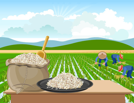Bag and a plate of rice on a rice field backgroundのイラスト素材