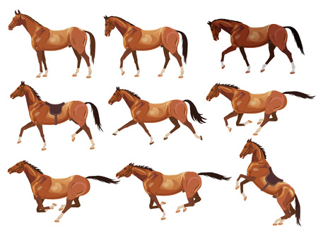 Collection of vector illustrations with horses. Standing, walking, trotting, galloping, rearing horses.のイラスト素材