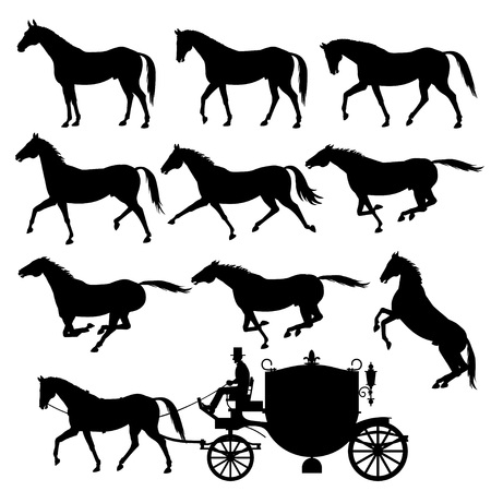 Set of vector silhouettes of horses. Standing, walking, trotting, galloping, rearing horses.のイラスト素材