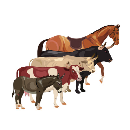 Farm animals in a row. Vector illustrationのイラスト素材
