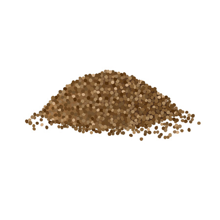Pile of coriander seeds isolated on white background. Vector illustrationのイラスト素材