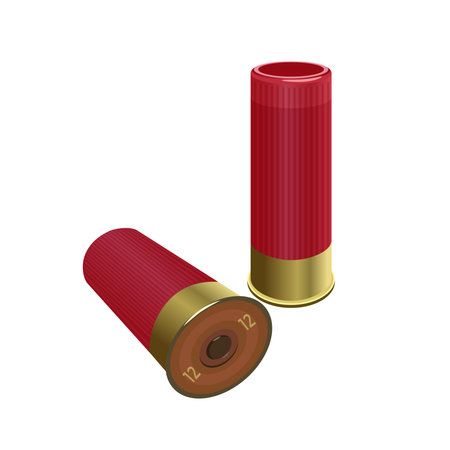 Shotgun shells. Vector illustration isolated on the white background