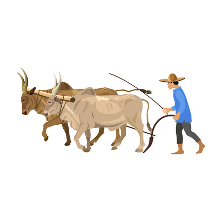 Farmer plowing field with a couple of zebu. Vector illustration isolated on the white backgroundのイラスト素材