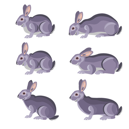 Set of gray rabbits. Vector illustration isolated on whiteのイラスト素材