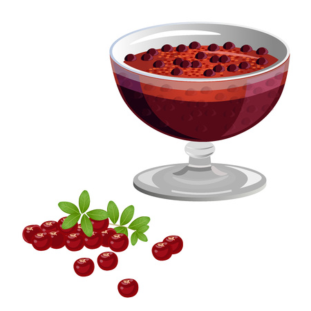 Cranberry jam and fresh cranberries. Vector illustration isolated on whiteのイラスト素材