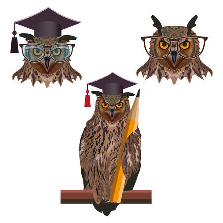 Wise owls wearing a square academic cap and spectacled. Set of vector illustration isolated on white backgroundのイラスト素材