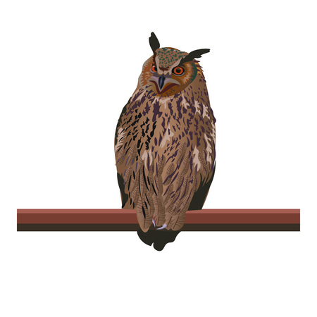 Eagle-owl bird sitting on branch. Vector illustration isolated on white backgroundのイラスト素材