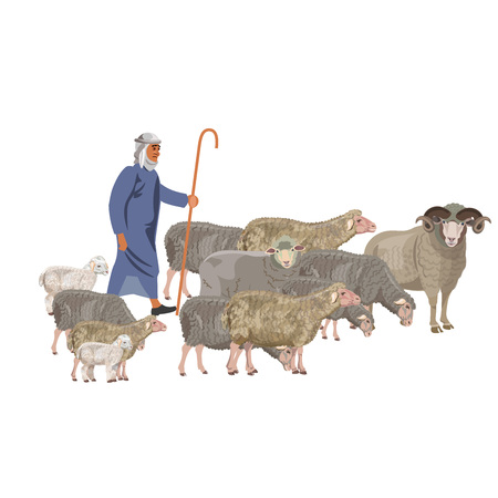 Shepherd with a flock of sheep. Vector illustration isolated on white backgroundのイラスト素材