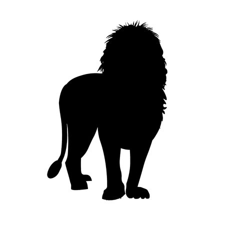 Silhouette of african lion standing in front. Vector illustration isolated on the white backgroundのイラスト素材