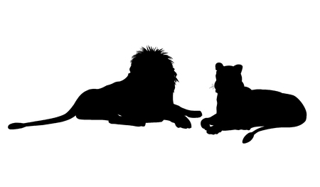 Silhouettes of lioness and male lion lying down. Vector illustration isolated on the white backgroundのイラスト素材