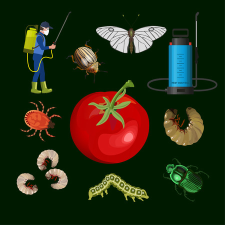 Set of different types of pest insects with gardener, sprayer and tomato. Vector illustration isolated on dark backgroundのイラスト素材