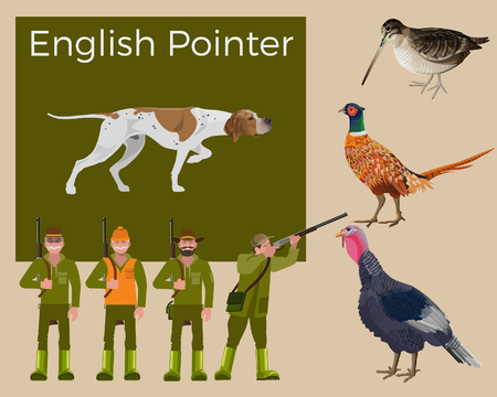 English pointer dog. Feathered game hunting. Figures of hunters in various poses. Set of vector illustration isolated on white backgroundのイラスト素材