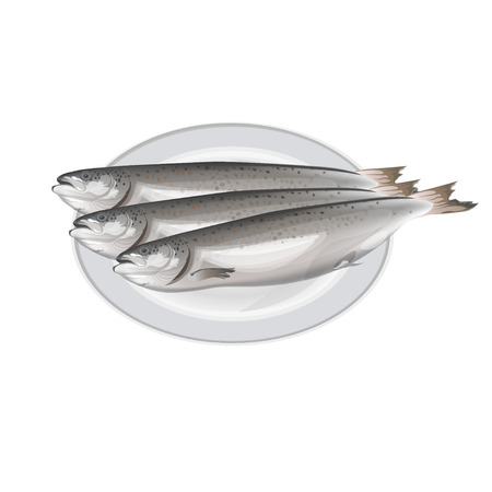 Three salmon fish lying on the plate. Vector illustration isolated on white backgroundのイラスト素材