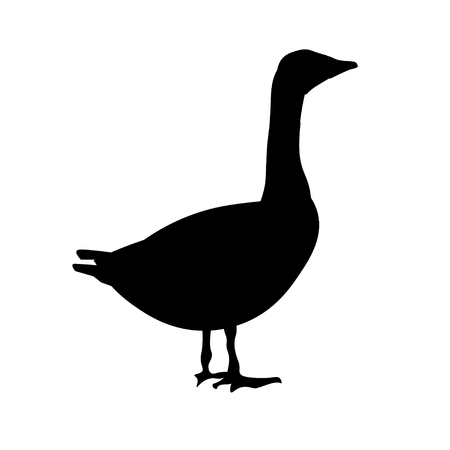 Silhouette of a standing goose. Side view. Vector illustration isolated on white backgroundのイラスト素材