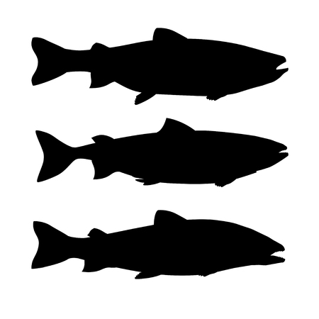 Set of silhouettes of salmon fish. Side view. Vector illustration isolated on white background.のイラスト素材