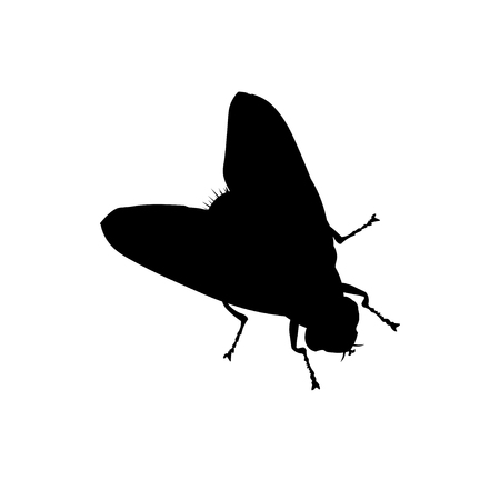 Silhouette of a fly. Vector illustration isolated on white background.のイラスト素材