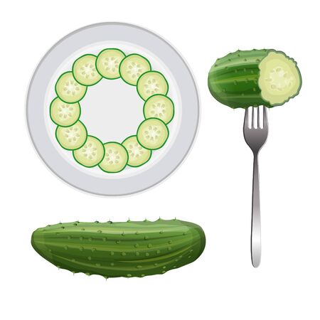 Plate of green cucumber slices arranged in a pattern. Top view. A whole and half cucumber impaled on a fork. Set of vector illustration isolated on white backgroundのイラスト素材