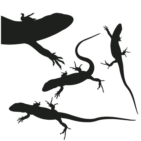 Set of lizards silhouettes in various poses. Vector illustration isolated on white backgroundのイラスト素材