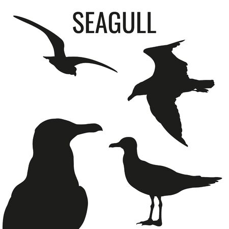 Set of silhouettes of seagulls in various poses. Vector illustration isolated on white backgroundのイラスト素材
