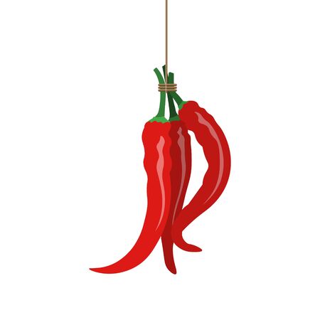 Bunch of red hot peppers hanging. Vector illustration isolated on white backgroundのイラスト素材