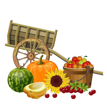 Autumn rural still life with wooden cart, vegetables, fruits and berries. Fall season decor. Vector illustration isolated on white backgroundのイラスト素材