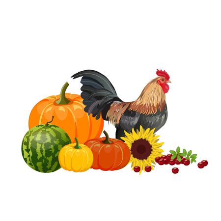 Autumn still life with vegetables and rooster. Fall season decor. Vector illustration isolated on white backgroundのイラスト素材