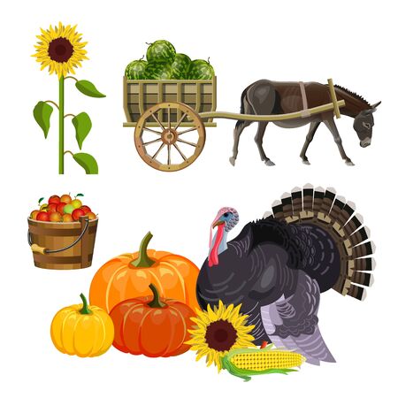 Harvest set. Donkey pulling a cart with watermelons. Autumn rural still life with turkey, pumpkins, apples in a bucket and sunflower. Vector illustration isolated on white backgroundのイラスト素材