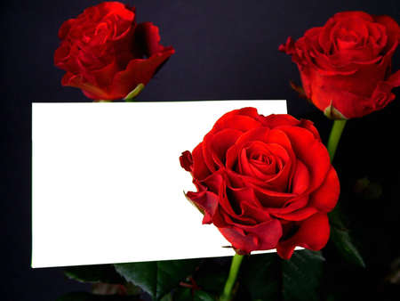 Roses with gift card, black backgroundの写真素材