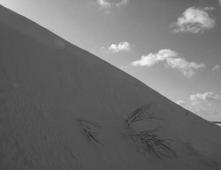 Winter hill, b/wの写真素材