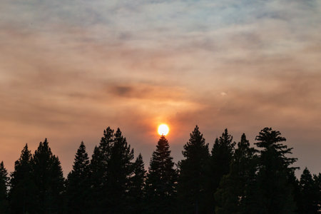 Smoky trees and sun during California Wildfires 2020の写真素材