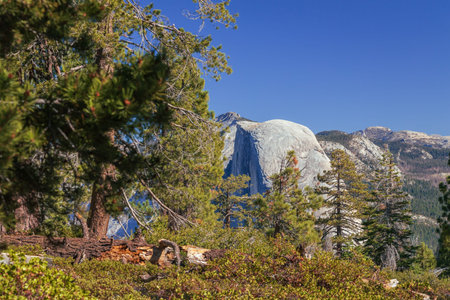 Half dome rises above Yosemite National Park