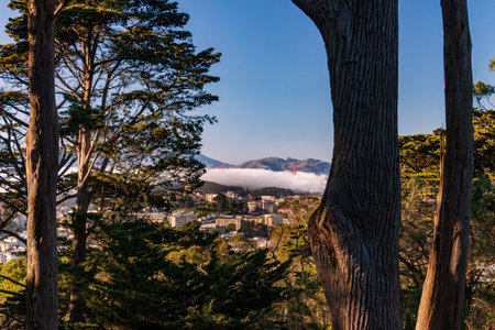 Golden Gate Bridge peeks out from the fog in San Francisco. High quality photo
