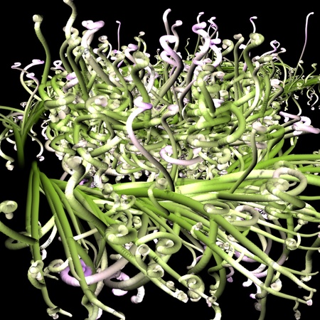 The plant is growing in length on a black backgroundの写真素材