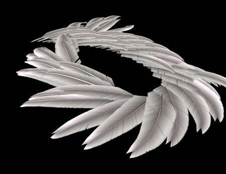 Decorative ring is formed of white feathers on a black backgroundの写真素材