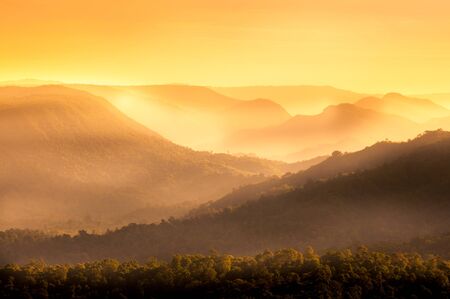 Nature backgroundの写真素材