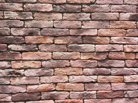 Brick wall as background.