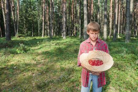 Boy holding straw hat full of red forest wildberriesの写真素材