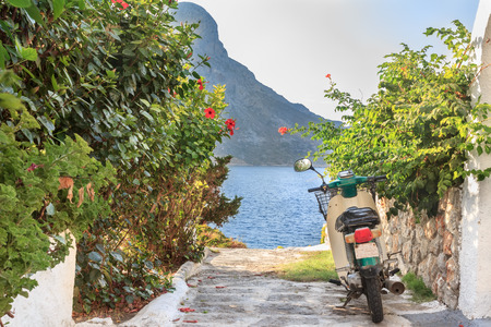 Green scooter on street with blooming hibiscus bushes on Greek Kalymnos islandの写真素材